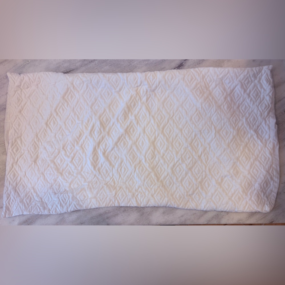 2 Vera Wang King size white shams